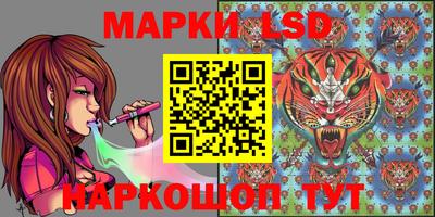 PSILOCYBIN Заводоуковск