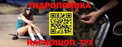 PSILOCYBIN Заводоуковск