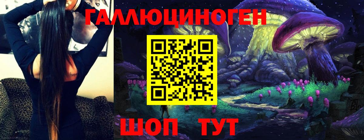 Кызыл  Галлюциногенные грибы прущие грибы  Вход с VPN 